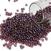 TOHO 8/0 Round Beads X-SEED-TR08-0166B-1