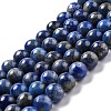 Natural Lapis Lazuli Round Beads Strands G-I181-09-8mm-1