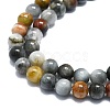 Natural Eagle Eye Stone Beads Strands G-K245-A09-02-3