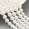 Glass Pearl Beads Strands HY-G002-01D-01-2