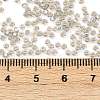 MIYUKI Round Rocailles Beads X-SEED-G007-RR2433-3