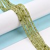 Natural Peridot Beads Strands G-E591-05-2