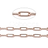 Ion Plating(IP) 304 Stainless Steel Paperclip Chains CHS-F010-01A-RG-01-1