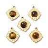 Natural Tiger Eye Pendants STAS-L080-009G-08-1