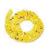 Transparent Glass Beads Strands EGLA-P061-04A-AB08-2