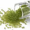 Glass Seed Beads SEED-A004-2mm-4-1