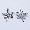 Abalone Shell/Paua Shell Pendants SSHEL-L008-07P-3