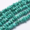 Natural Magnesite Beads Strands TURQ-F008-01-1