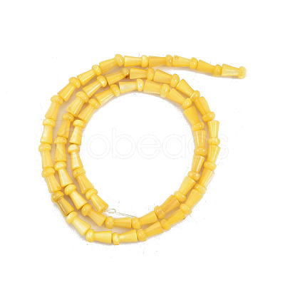 Natural Freshwater Shell Beads Strands SHEL-G013-02H-1