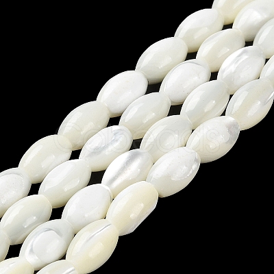 Natural Trochus Shell Beads Strands BSHE-E030-02B-1