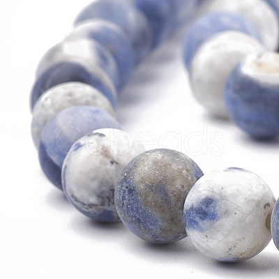 Natural Sodalite Beads Strands G-T106-212-1