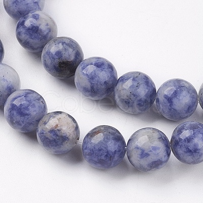 Natural Blue Spot Jasper Bead Strands G-R193-15-6mm-1