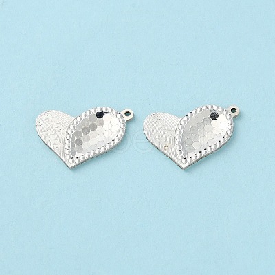 925 Sterling Silver Charms STER-C004-07S-1