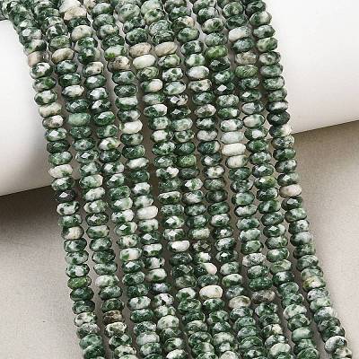 Natural Green Spot Jasper Beads Strands GG-CBAE4D4-A05-01-1