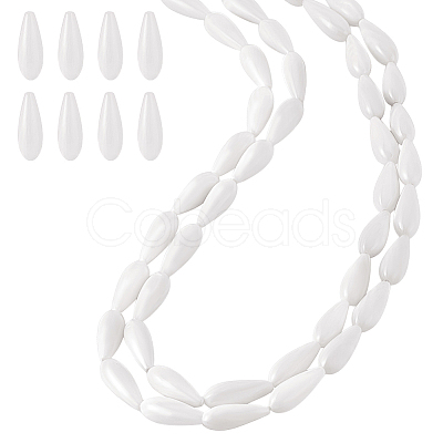 2 Strands Natural Freshwater Shell Beads Strands BSHE-PH0001-53-1