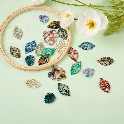 22Pcs 11 Style Cellulose Acetate(Resin) Pendants KY-BT0001-04-1