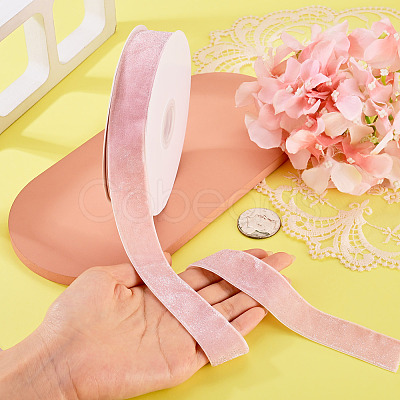 10 Yards Polyester Velvet Ribbon OCOR-TA0004-13B-1