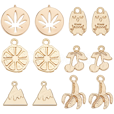 12Pcs 6 Styles Brass Charms KK-BC0010-13-1