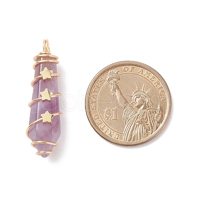 Natural Amethyst Pointed Pendants PALLOY-JF01703-01-1