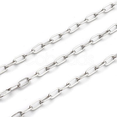Non-Tarnish 304 Stainless Steel Paperclip Chains STAS-H111-04P-A-1