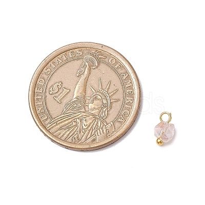 Electroplate Glass Charms PALLOY-JF04004-1