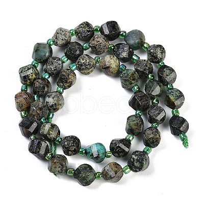 Natural African Turquoise(Jasper) Beads Strands G-L579-05A-1