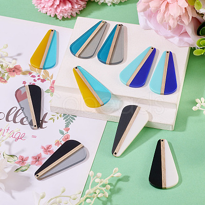 10Pcs 5 Colors Transparent & Opaque Resin & Wood Pendants RESI-TA0004-66-1