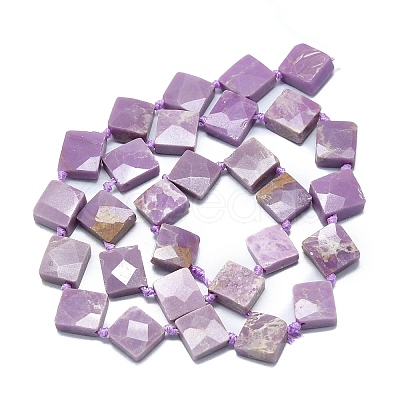 Natural Lepidolite Beads Strands G-G106-H05-02-1