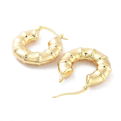 Brass Hoop Earrings EJEW-H301-01G-01-1
