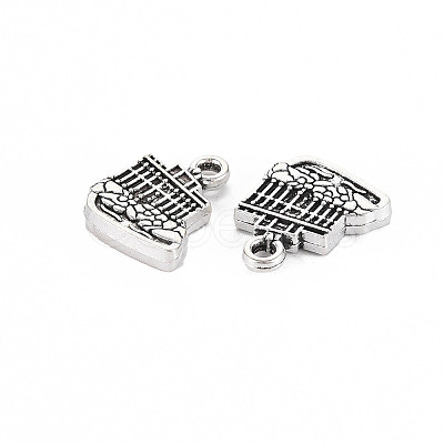 Tibetan Style Alloy Charms LS-TIBEP-N011-016-1