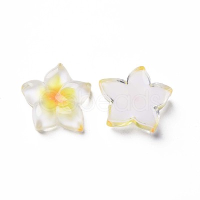 Transparent Epoxy Resin Cabochons CRES-S365-23A-1