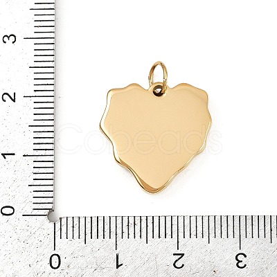 304 Stainless Steel Pendants STAS-K307-02A-G-1