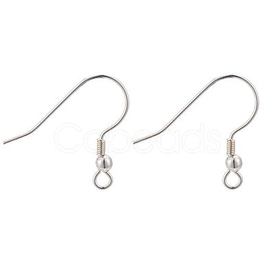925 Sterling Silver Earring Hooks STER-K167-052S-1