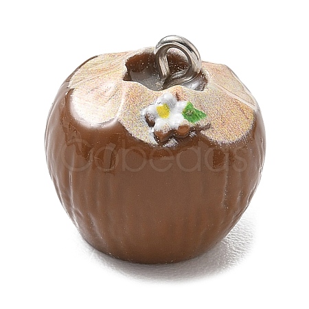 Opaque Resin Imitation Food Pendants RE-CBAB12C-05-1