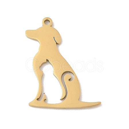 304 Stainless Steel Pendants STAS-F326-09G-1