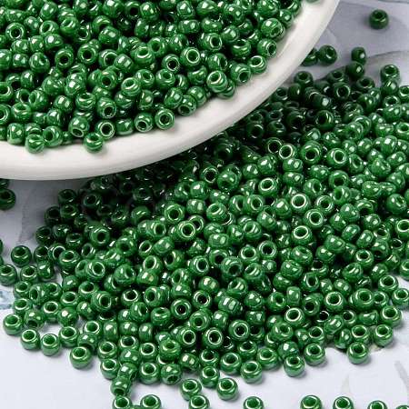 MIYUKI Round Rocailles Beads SEED-G008-RR0431-1