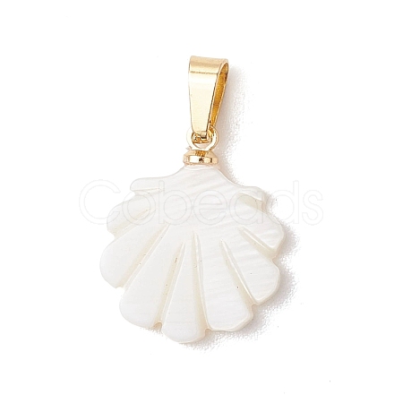 Natural Freshwater Shell Pendants PALLOY-JF05137-02-1