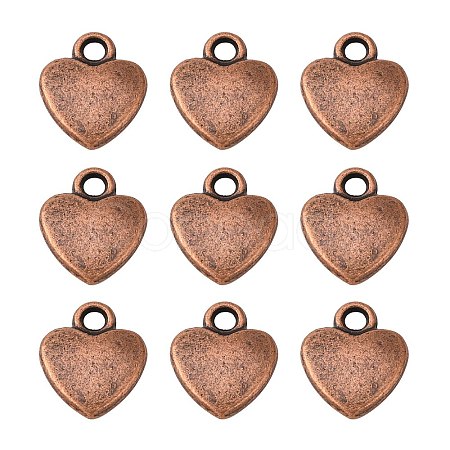 Tibetan Style Alloy Charms LS-RLF1170Y-1
