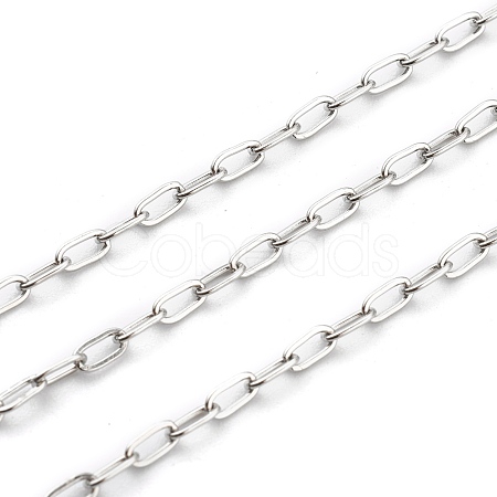 Non-Tarnish 304 Stainless Steel Paperclip Chains STAS-H111-04P-A-1