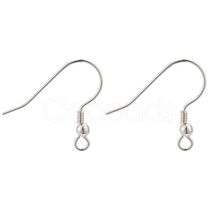 925 Sterling Silver Earring Hooks STER-K167-052S-1