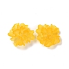 Transparent Resin Cabochons LS-RESI-G027-01C-2