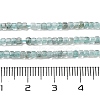 Natural Apatit Beads Strands G-H042-B12-01A-5