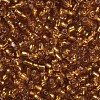 6/0 Glass Seed Beads SEED-A005-4mm-22C-2