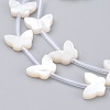 Natural White Shell Mother of Pearl Shell Beads SSHEL-L018-013-2