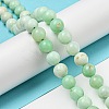 Grade A Natural Chrysoprase Beads Strands G-R494-A02-03-4