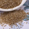 MIYUKI Delica Beads SEED-X0054-DB0901-1