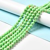 Synthetic Turquoise and Sea Shell Assembled Beads Strands G-D482-01E-02-1