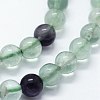 Natural Fluorite Beads Strands G-I199-12-4mm-3