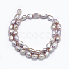 Natural Cultured Freshwater Pearl Beads Strands X-PEAR-K003-19B-2