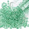 8/0 Glass Seed Beads SEED-A015-3mm-2218-1